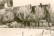 CornelisJ1896_01.jpg