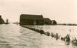 CornelisW1917_02.jpg