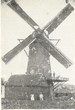 Neeltje1874_01.jpg